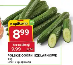 Stokrotka Express Ogórki oferta