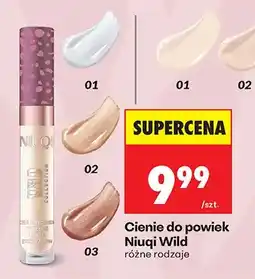 Biedronka Cienie do powiek Wild różne rodzaje oferta
