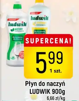 Delikatesy Piotruś Pan Płyn do naczyń Ludwik oferta