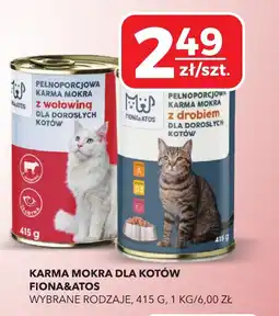 Top Market Karma mokra dla kotów Fiona&Atos oferta