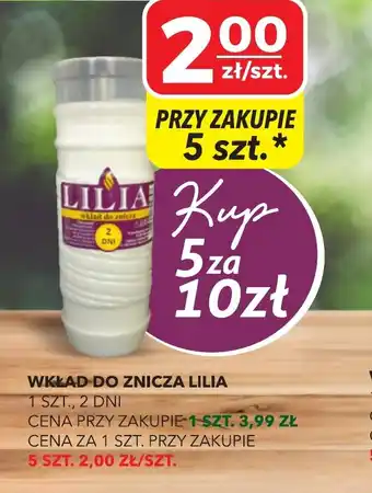 Top Market Wkład do znicza Lilia oferta