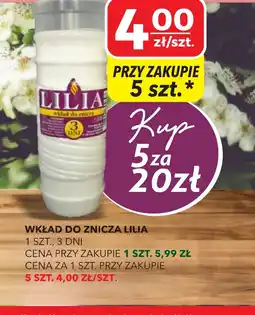Top Market Wkład do znicza Lilia oferta