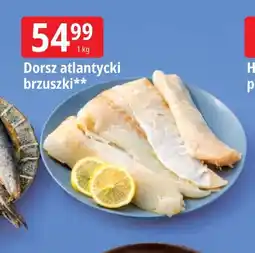 E.Leclerc Dorsz atlantycki brzuszki oferta
