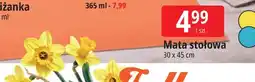 E.Leclerc Mata stołowa oferta