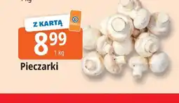 E.Leclerc Pieczarki oferta