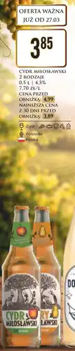 Dino Cydr Miłosławski oferta
