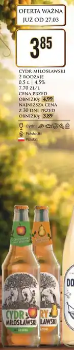 Dino Cydr Miłosławski oferta