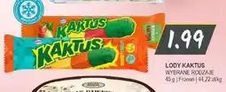 Słoneczko Lody Kaktus oferta