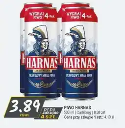 Słoneczko Piwo Harnas oferta