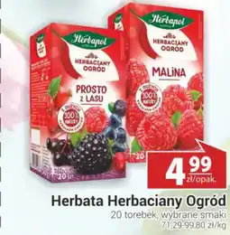 Nasz Sklep Herbata Herbapol Herbaciany Ogród oferta