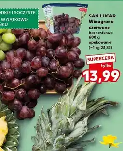 Kaufland Ananas złoty sztuka oferta