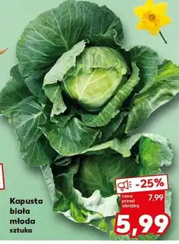 Kaufland Kapusta biała młoda sztuka oferta