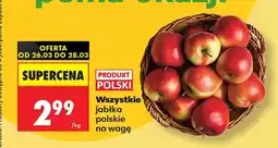 Biedronka Jabłka Polski oferta
