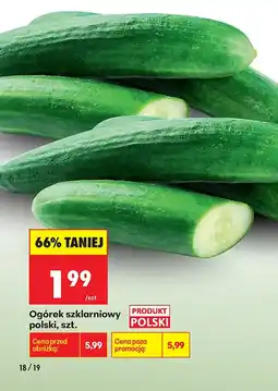 Biedronka Ogórek Polski oferta
