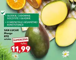 Kaufland Mango RTE sztuka oferta