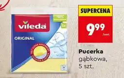 Biedronka Pucerka gąbkowa, 5 szt oferta