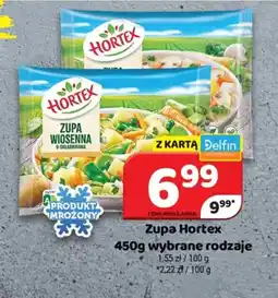 Delfin Zupa Hortex oferta
