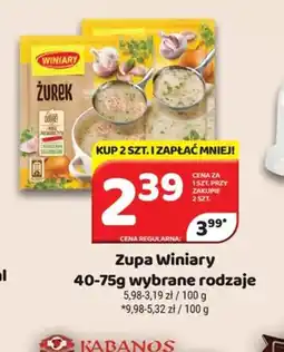 Delfin Zupa Winiary Zurek oferta
