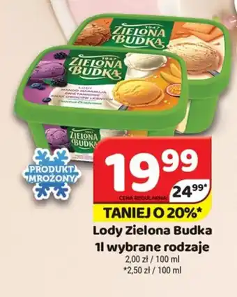 Delfin Lody Zielona Budka oferta