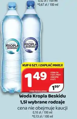 Delfin Woda Kropla Beskidu oferta