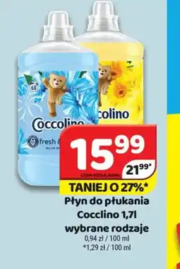 Delfin Płyn do płukania Coccolino oferta