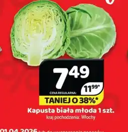 Delfin Kapusta biała młoda oferta