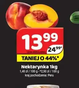 Delfin Nektarynka oferta