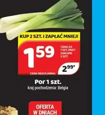 Delfin Por oferta