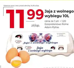 Frac Jaja oferta