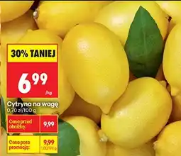 Biedronka Cytryna oferta