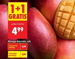 Biedronka Mango oferta
