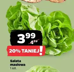 Netto Sałata masłowa oferta