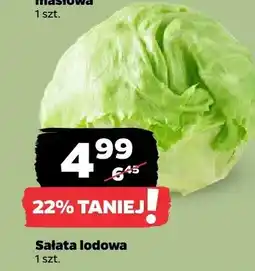 Netto Sałata lodowa oferta