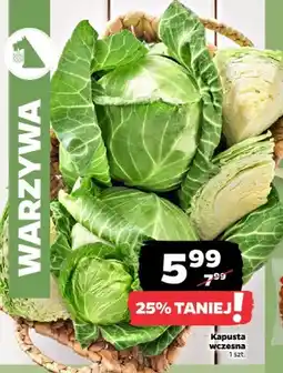 Netto Kapusta wczesna oferta