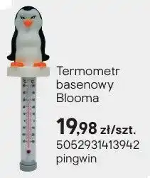 Castorama Termometr basenowy pingwin oferta