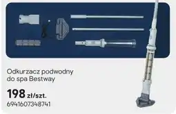 Castorama Odkurzacz podwodny do spa oferta