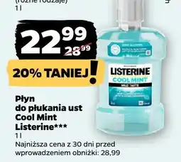 Netto Płyn do płukania ust Cool Mint oferta