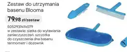 Castorama Zestaw do utrzymania basenu Blooma oferta