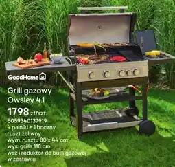 Castorama Grill gazowy Owsley 4.1 oferta