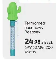 Castorama Termometr basenowy kaktus oferta