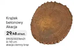 Castorama Krążek betonowy Akacja oferta
