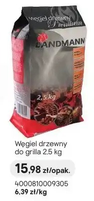 Castorama Węgiel drzewny do grilla oferta