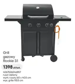 Castorama Grill gazowy Rookie 3.1 oferta