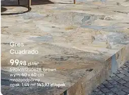 Castorama Płytki Cuadrado brown oferta