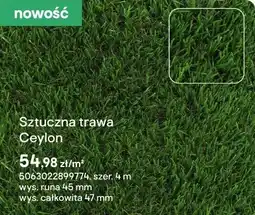 Castorama Sztuczna trawa Ceylon oferta