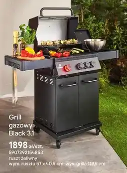 Castorama Grill gazowy Black 3.1 oferta