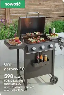 Castorama Grill gazowy 3.0 oferta