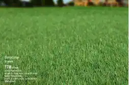 Castorama Sztuczna trawa wym. 1 x 5 m, wys. runa 30 mm oferta