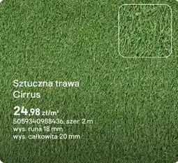 Castorama Sztuczna trawa Cirrus oferta