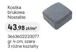 Castorama Kostka brukowa Nostalite szara oferta